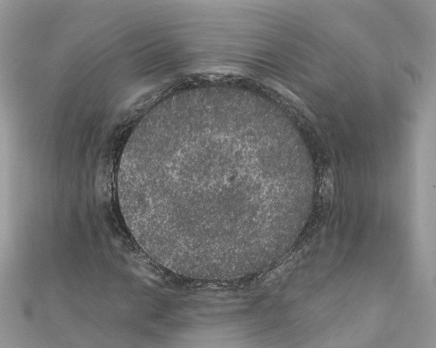 X0000110711014200907241141