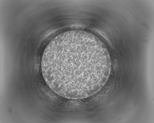 X0000110711015200907241141