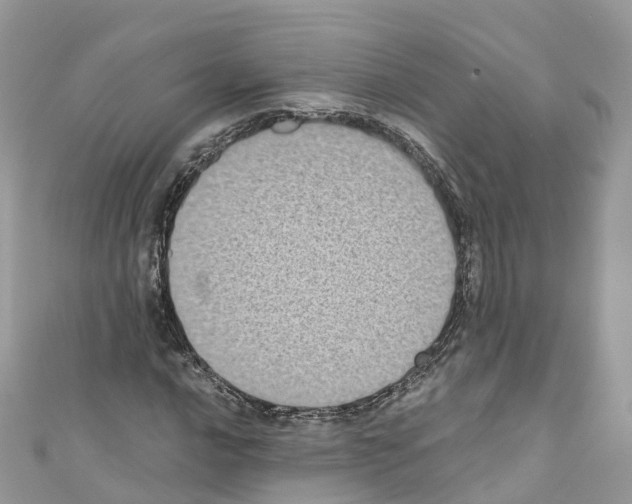 X0000110711016200907241141