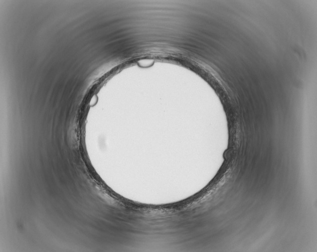X0000110711018200907241141