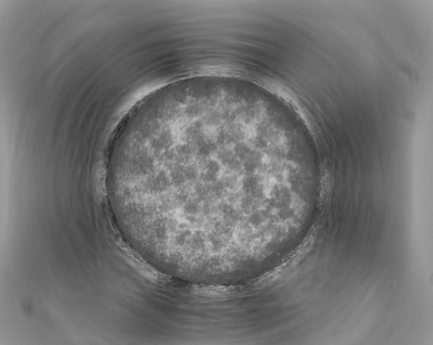 X0000110711019200907241141