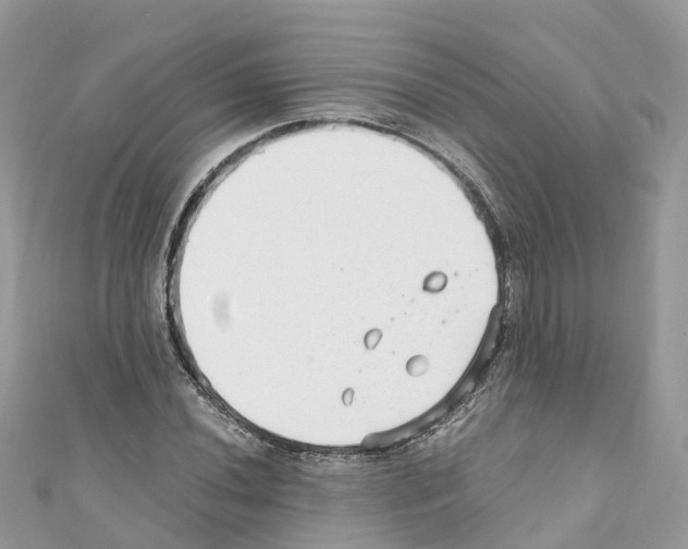 X0000110711020200907241141