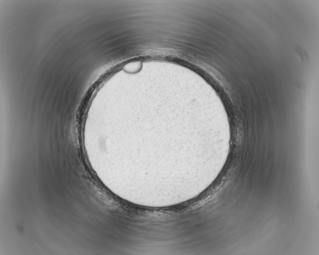 X0000110711022200907241141
