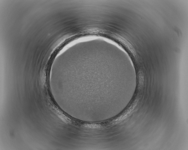 X0000110711023200907241141