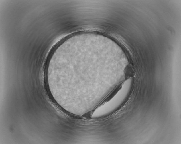 X0000110711024200907241141