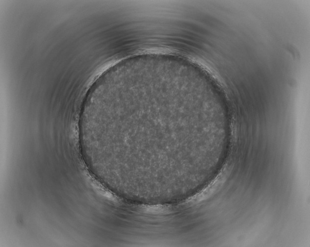 X0000110711025200907241141