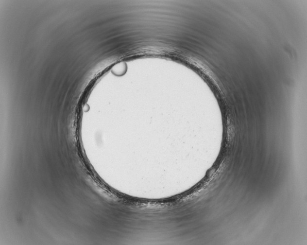 X0000110711026200907241141
