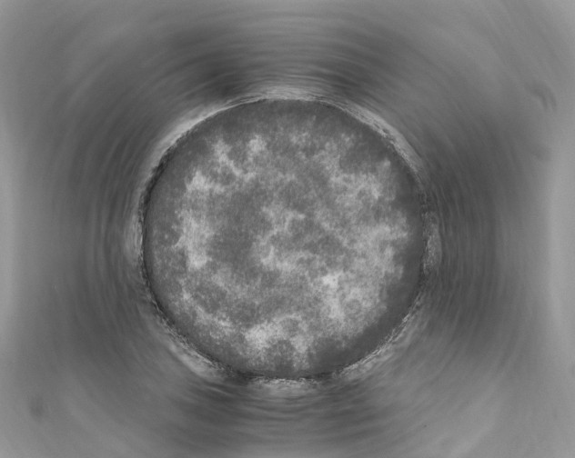 X0000110711027200907241141