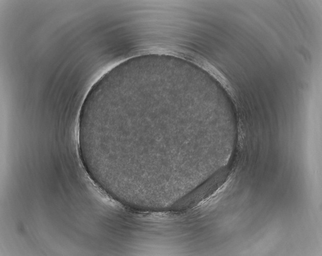X0000110711028200907241141