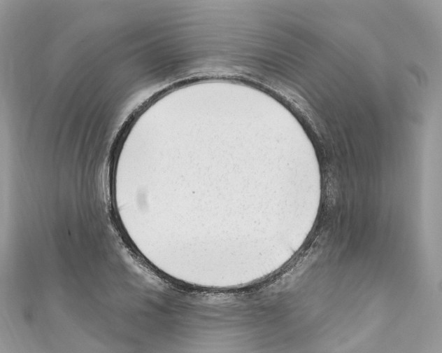 X0000110711030200907241141