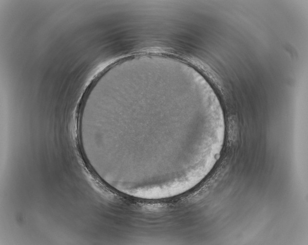 X0000110711031200907241141
