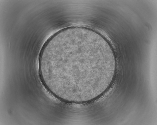 X0000110711032200907241141
