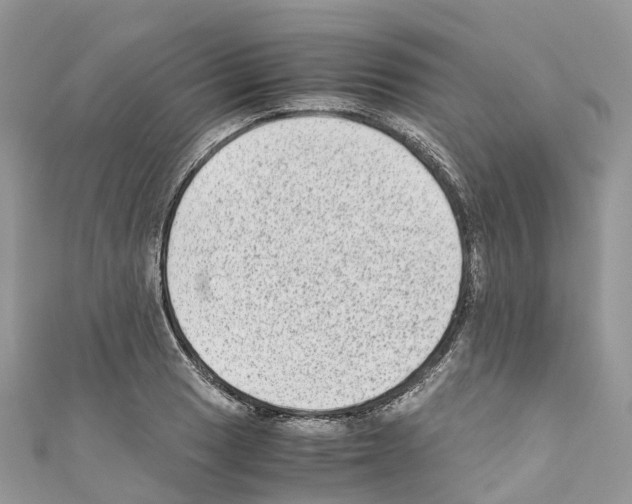 X0000110711033200907241141