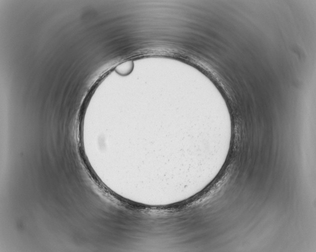 X0000110711034200907241141