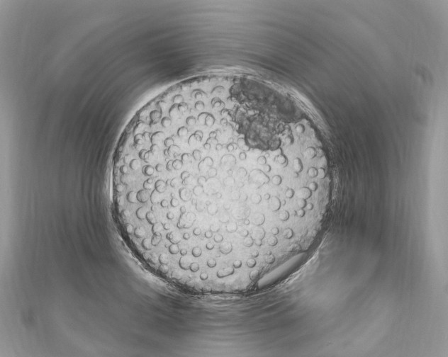 X0000110711036200907241141