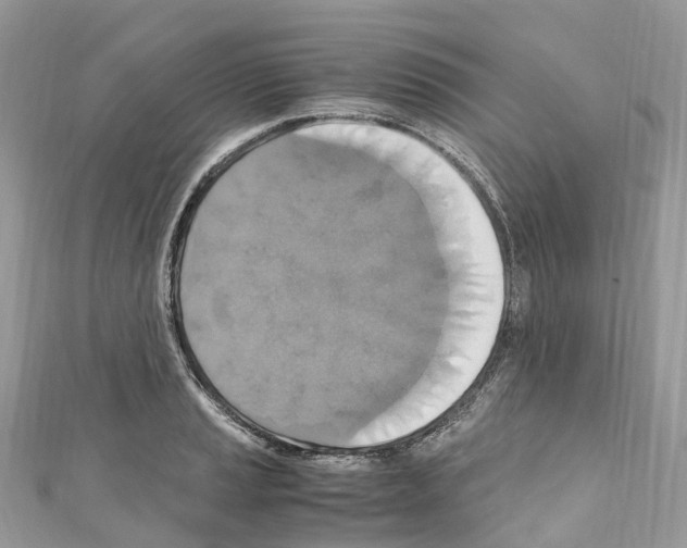 X0000110711037200907241141