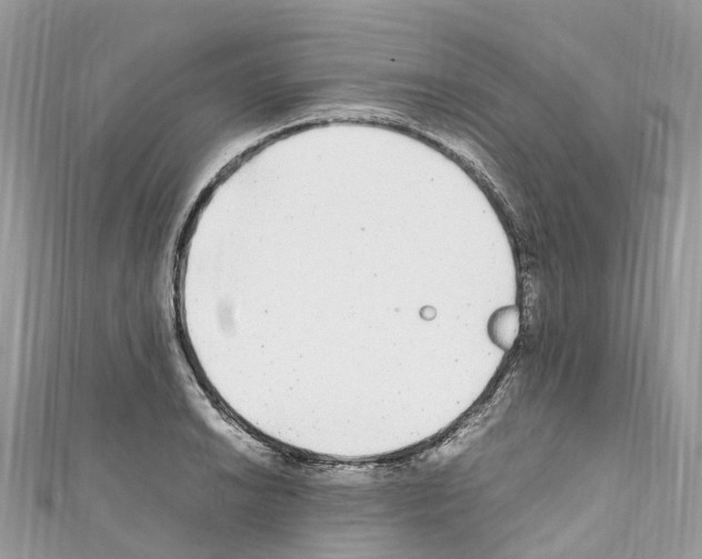 X0000110711038200907241141