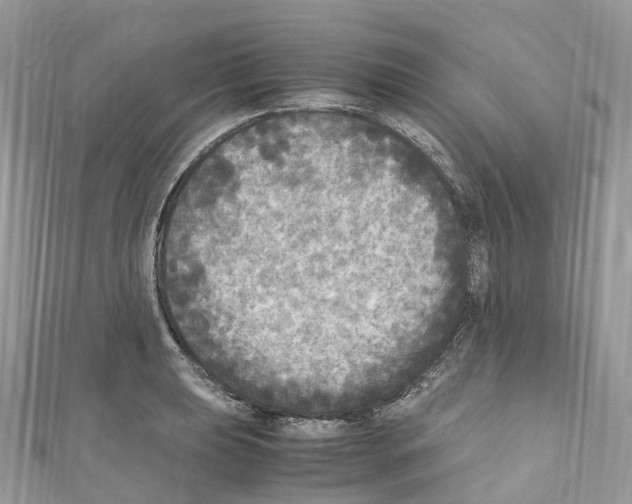 X0000110711039200907241141