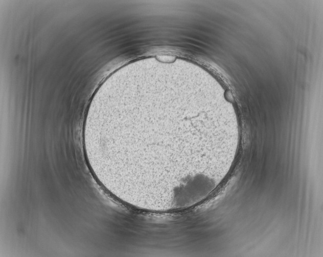 X0000110711041200907241141