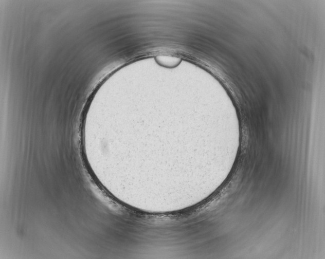 X0000110711042200907241141