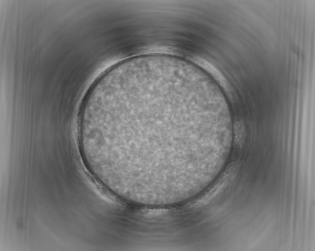X0000110711043200907241141