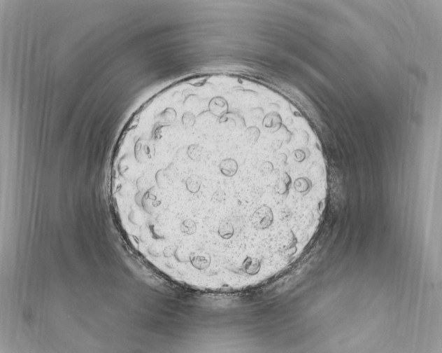 X0000110711044200907241141