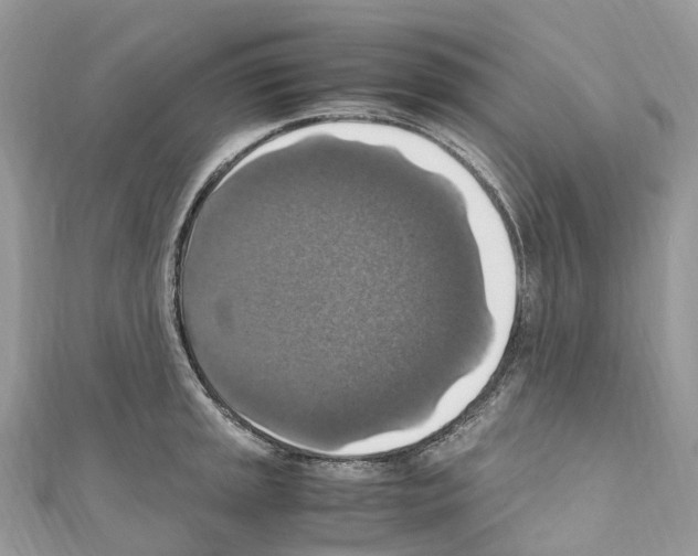 X0000110711045200907241141