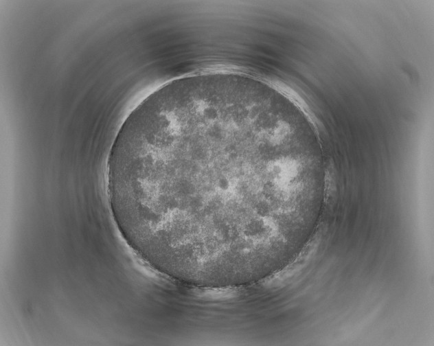 X0000110711047200907241142