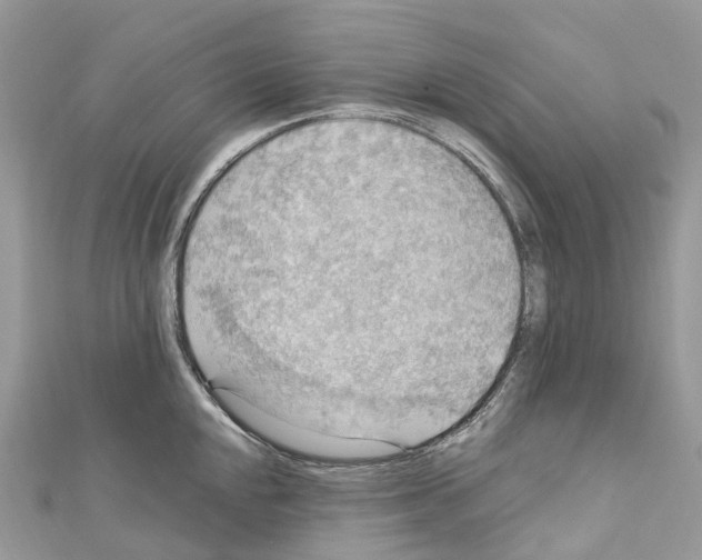 X0000110711048200907241142