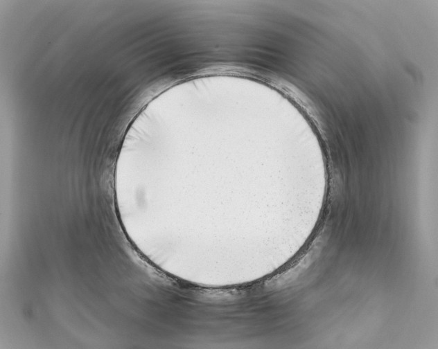 X0000110711049200907241142