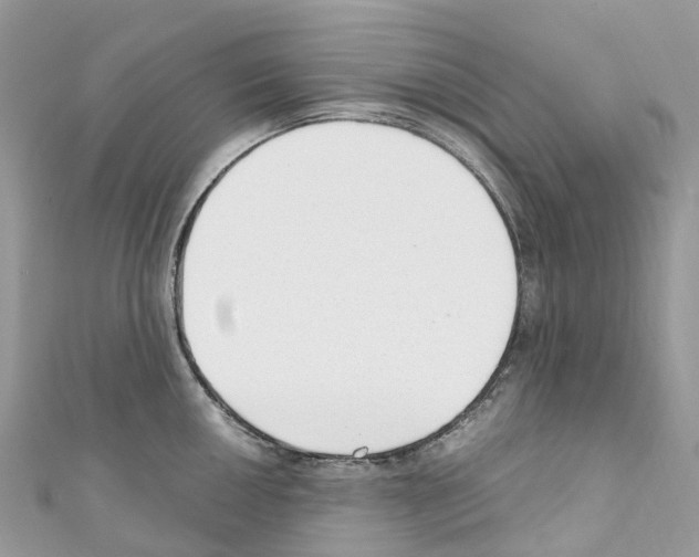 X0000110711050200907241142