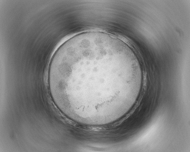 X0000110711052200907241142