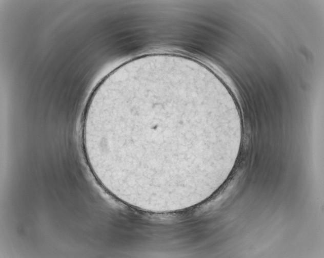 X0000110711053200907241142