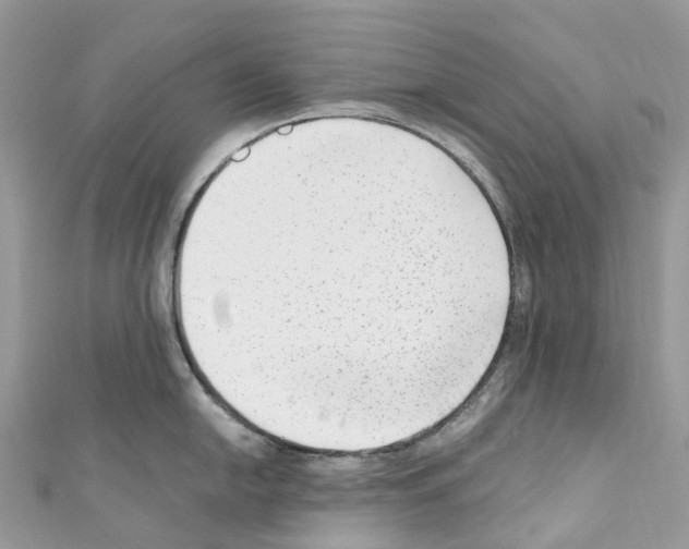 X0000110711054200907241142