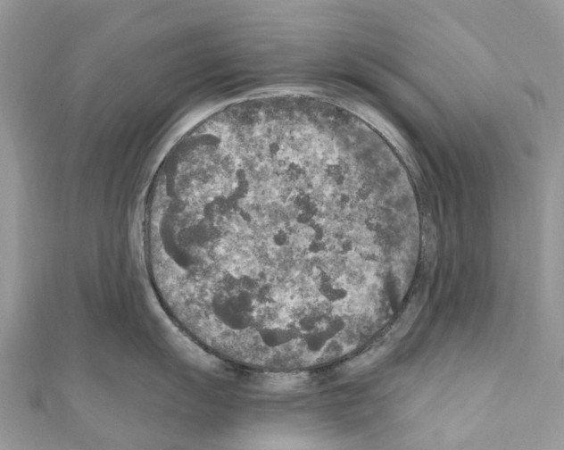 X0000110711055200907241142