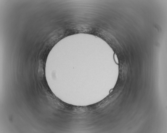 X0000110711058200907241141