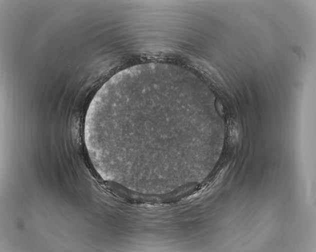 X0000110711060200907241141