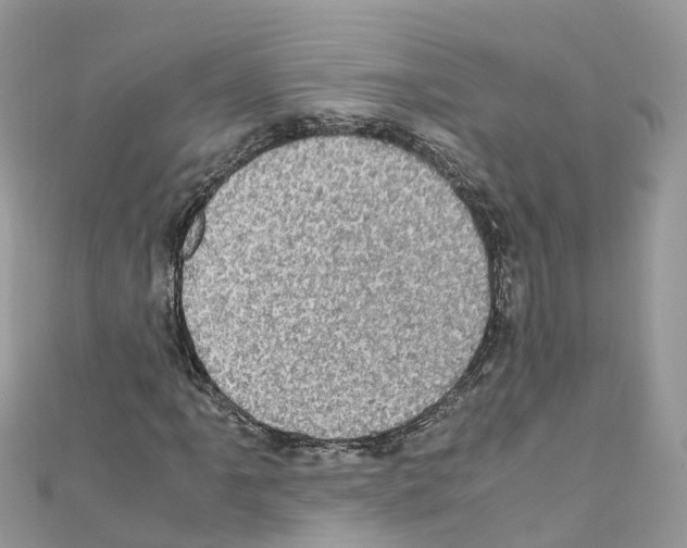 X0000110711061200907241141