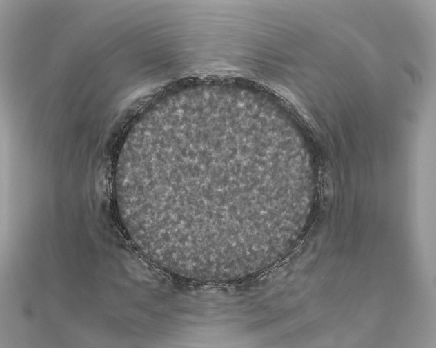 X0000110711063200907241141