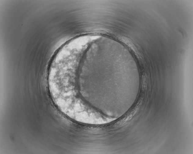 X0000110711071200907241141