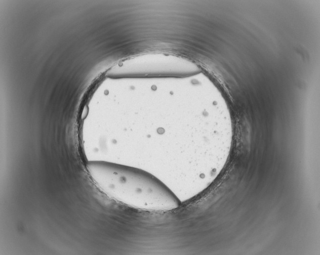 X0000110711072200907241141