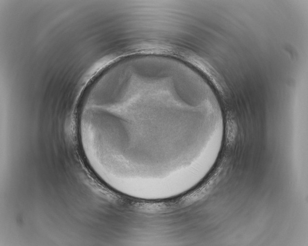 X0000110711074200907241141