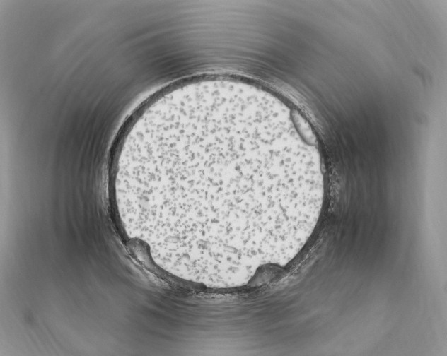X0000110711076200907241141