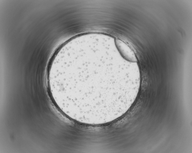 X0000110711080200907241141