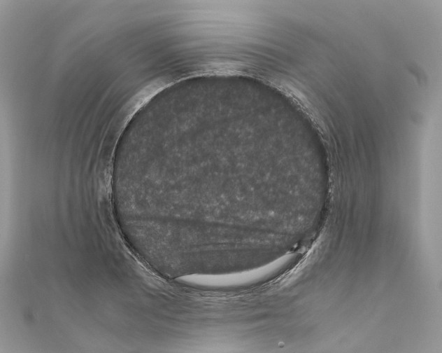 X0000110711081200907241141