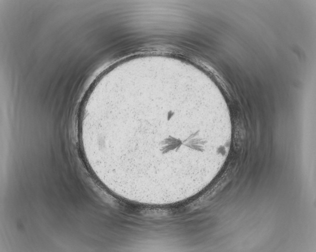 X0000110711083200907241141