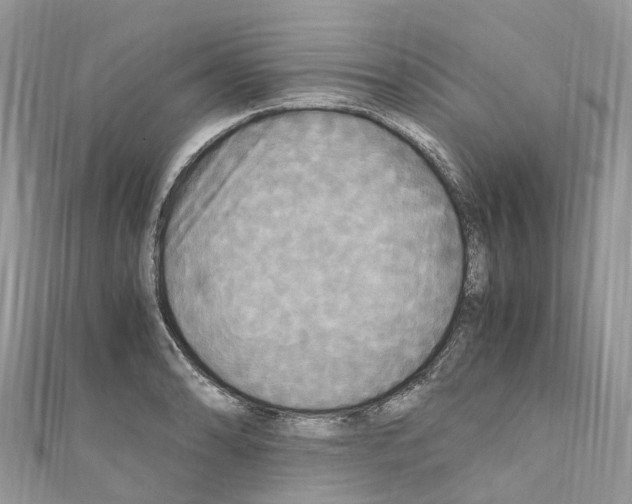 X0000110711086200907241141