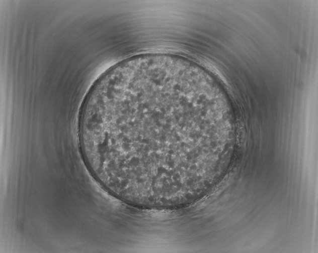X0000110711087200907241140