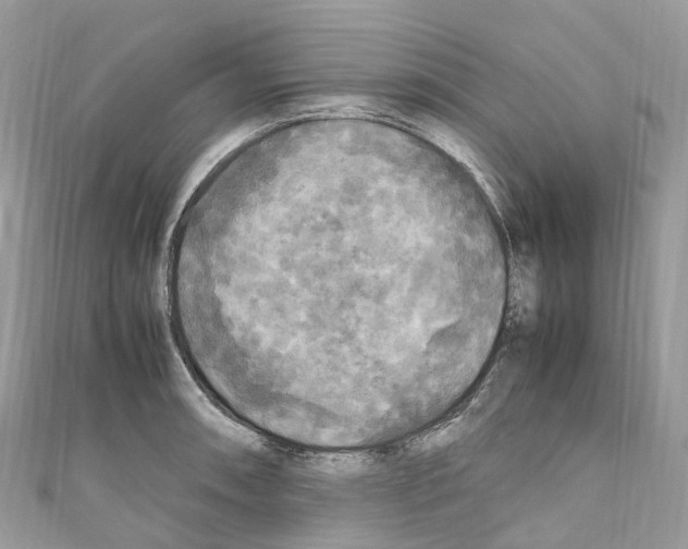 X0000110711090200907241140