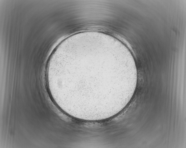 X0000110711091200907241140